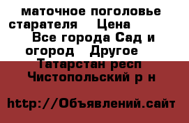 маточное поголовье старателя  › Цена ­ 3 700 - Все города Сад и огород » Другое   . Татарстан респ.,Чистопольский р-н